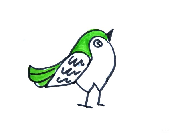 Learn to draw simple drawings, simple drawings of green-tailed birds