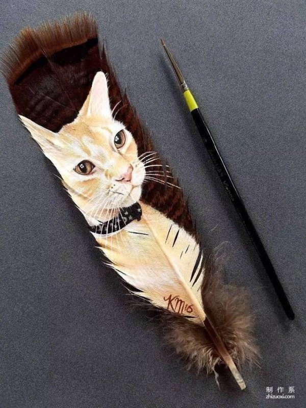 Animal illustrations on feathers 丨 Krystle Missildine-