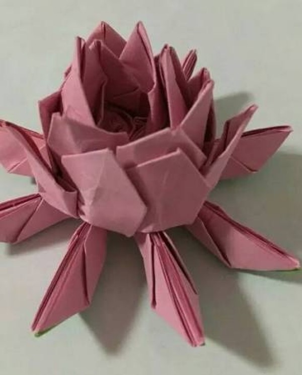 Three-dimensional origami lotus tutorial