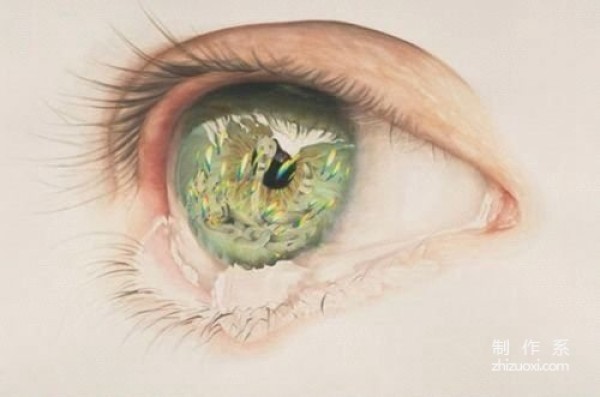 Continuing with the illustrations of eyes, do you understand such beauty?