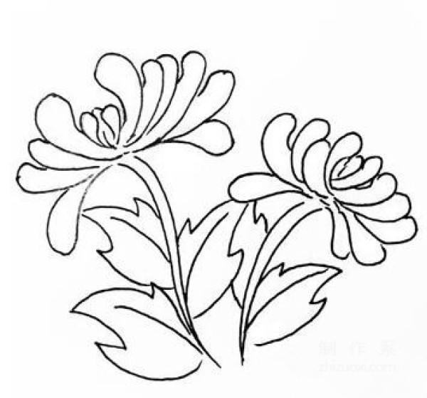 Learn to draw simple drawings, chrysanthemums during Double Ninth Festival