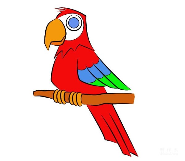 A collection of simple drawing pictures for kindergarten children, teach you step by step how to draw a colorful parrot