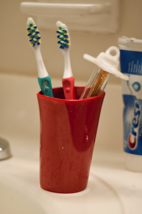 Funny branch toothbrush