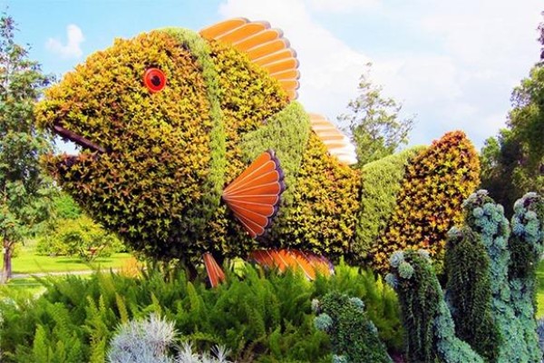 International three-dimensional flower bed competition