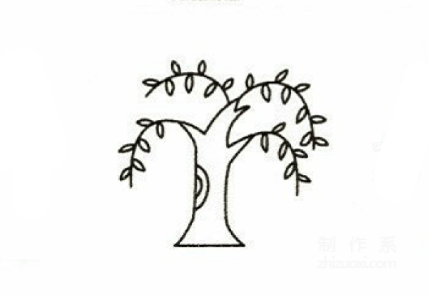 Learn to draw simple drawings, willow tree drawings