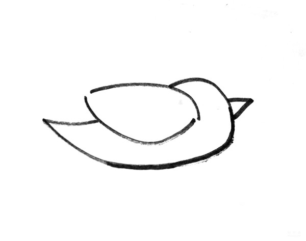 Learn to draw simple drawings, soaring birds