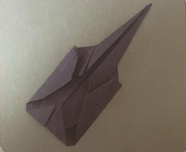 Illustration of steps for children to make handmade beetle origami