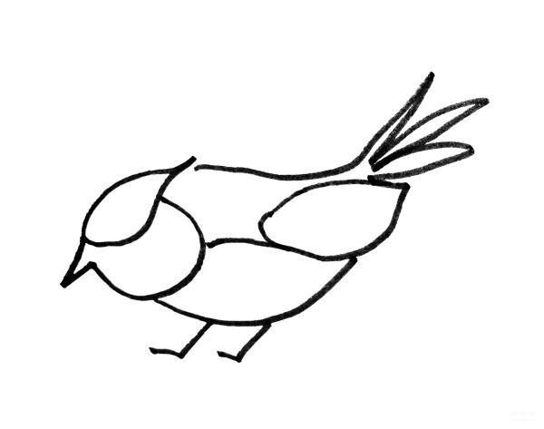 Learn to draw simple drawings, colorful birds