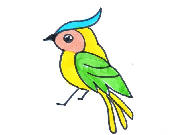 Learn to draw simple drawings, colorful parrots