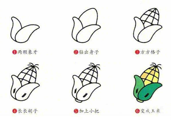 A collection of simple drawing pictures of various vegetables 3