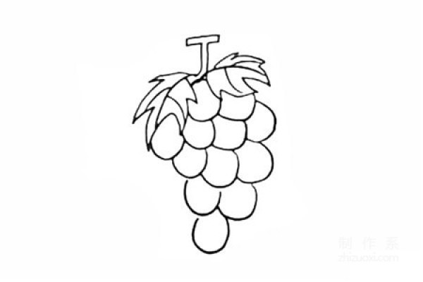 Learn to draw simple drawings, simple drawings of grapes