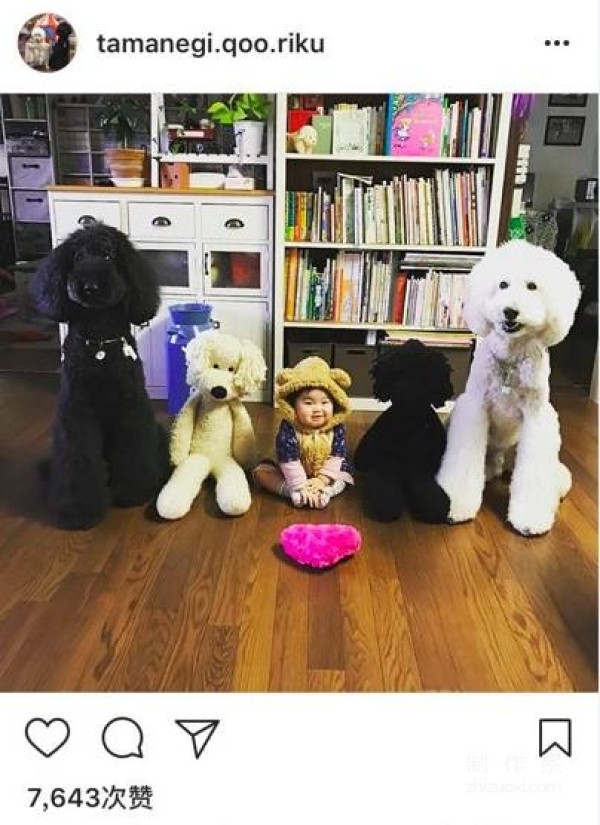 So cute! A 1-year-old girl and three dogs sleep together, eat together, and wear the same clothes...