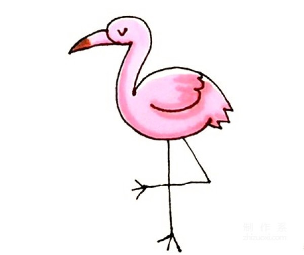 Learn to draw simple strokes, simple strokes of flamingo