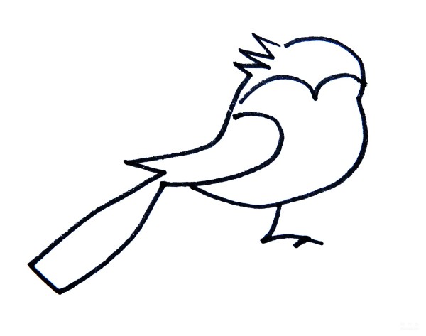 Learn to draw simple strokes, a simple way to draw a blue-tailed bird