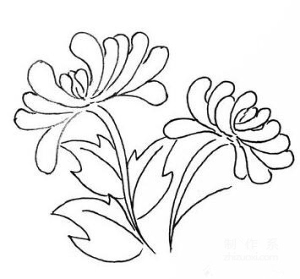 Learn to draw simple drawings, chrysanthemums during Double Ninth Festival