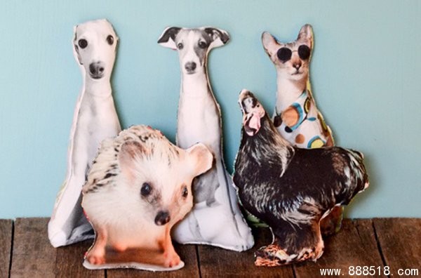 Various noble cute pet DIY creative handmade pillows