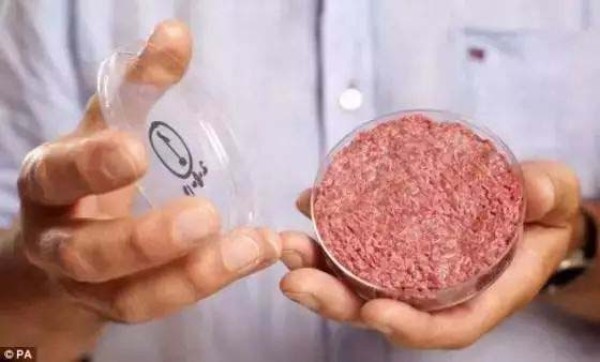 Artificial meat is here, it tastes as healthy as real meat and has no additives