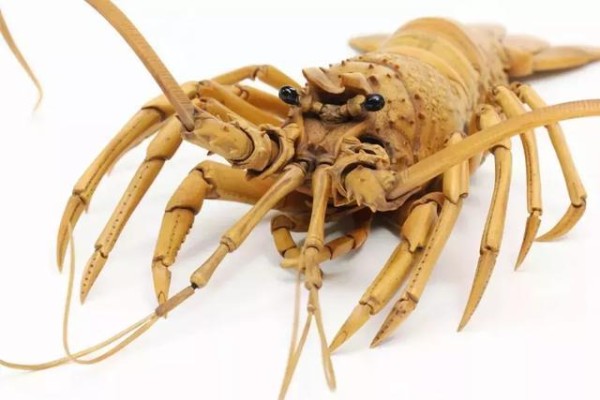 A Japanese boy carves a live wooden lobster, which is so ingenious that it looks like the real thing.