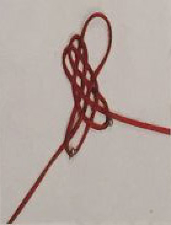 Step by step method of braiding the brocade knot