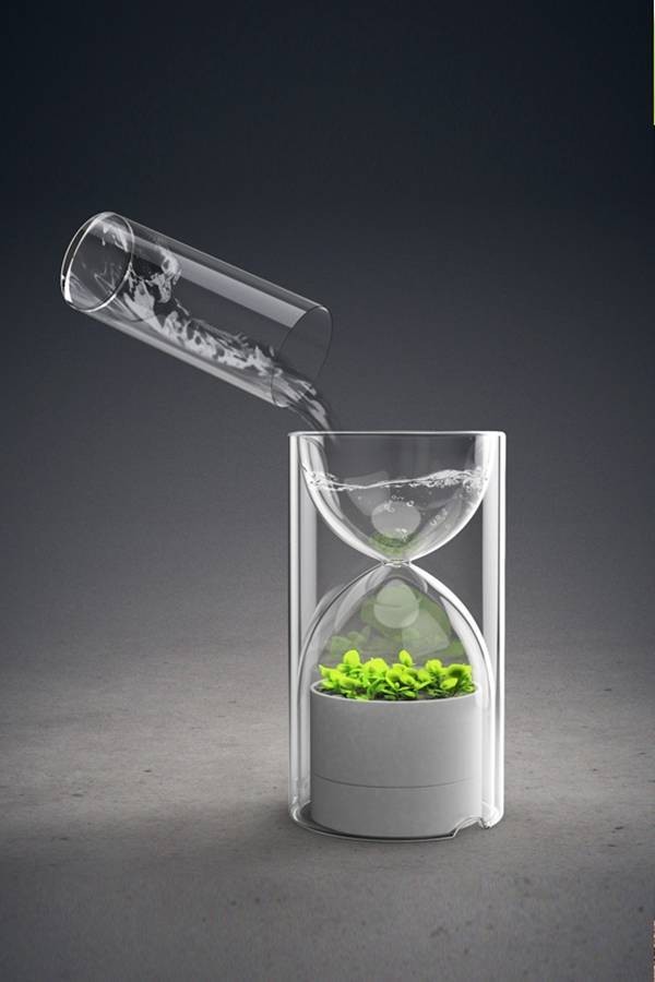 Livesglass Hourglass Plant Greenhouse