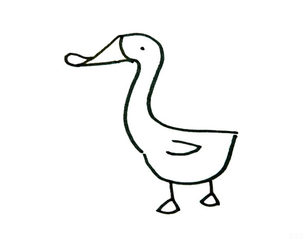 Learn to draw a simple drawing, a little duck with a flat mouth