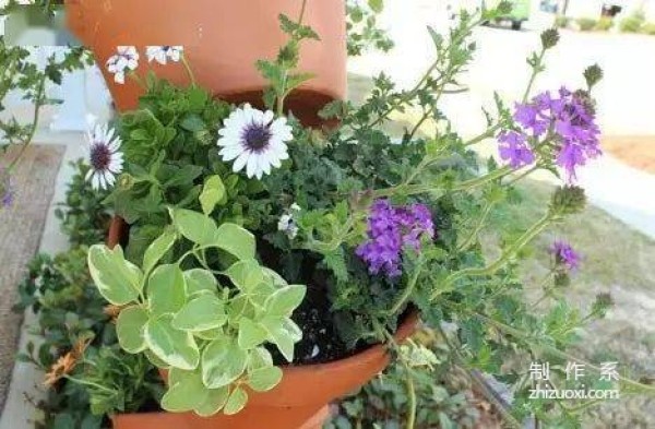 The house was too small, so she piled up flower pots, and the result was so beautiful!