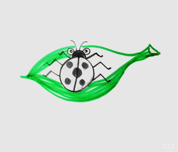 Learn to draw simple drawings, colorful ladybugs