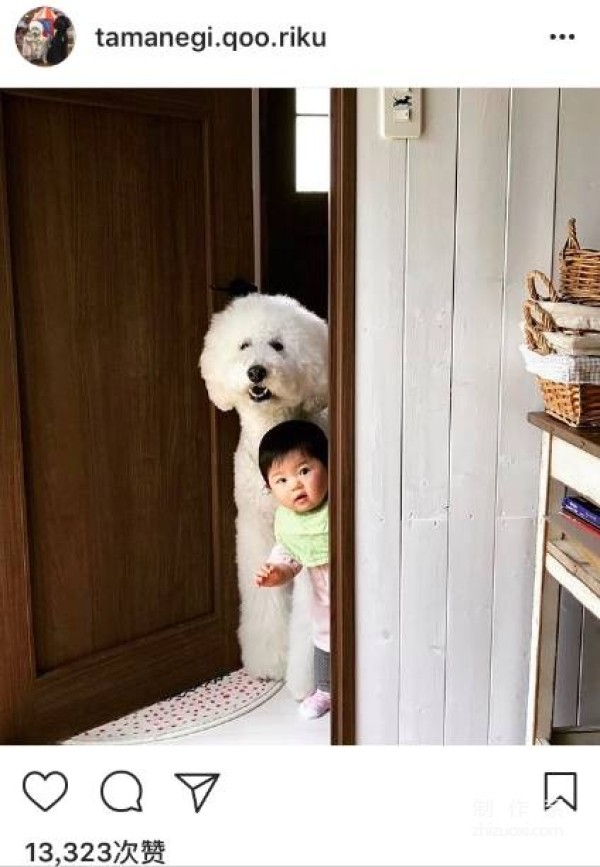 So cute! A 1-year-old girl and three dogs sleep together, eat together, and wear the same clothes...