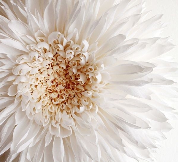 Appreciation of pictures of flowers blooming on paper, paper art flower handicrafts