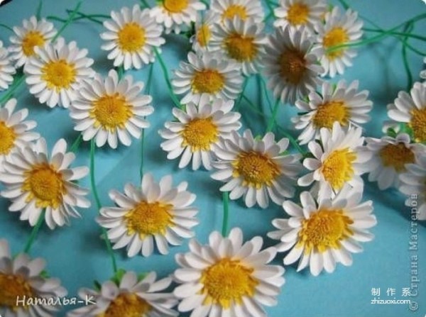 Daisy diy paper flower illustration tutorial