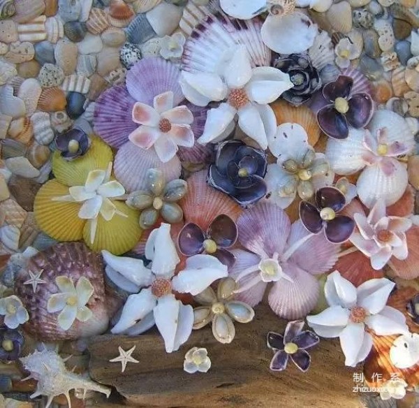 The flowers blooming from the shells are so beautiful!