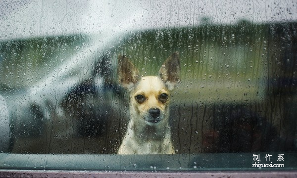 How to capture those little emotions on rainy days? Tips for taking photos on rainy days