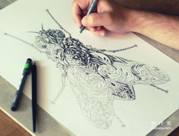 Super-detailed insect paintings