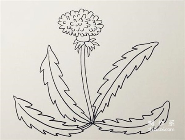 Learn to draw simple drawings, simple drawings of dandelions