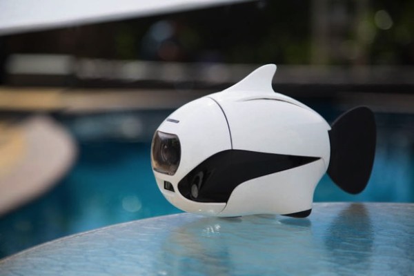 BIKIs robotic fish for underwater photography looks super cute