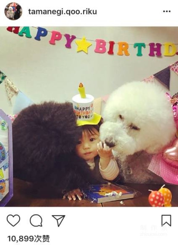 So cute! A 1-year-old girl and three dogs sleep together, eat together, and wear the same clothes...