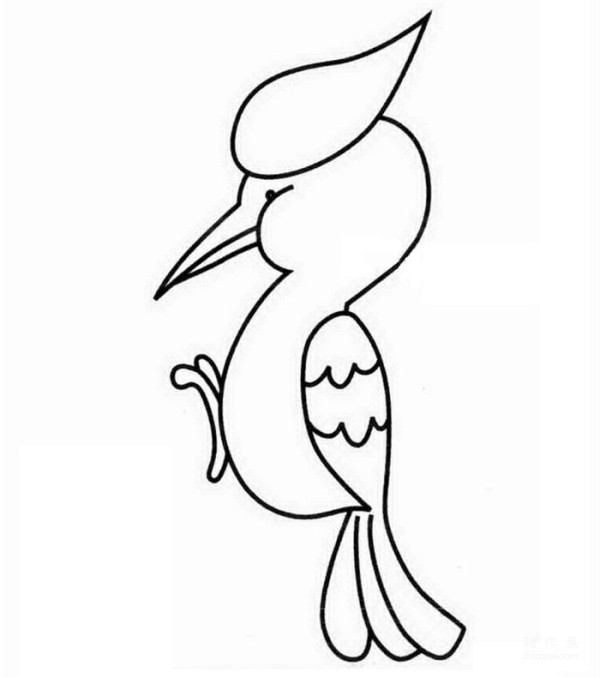 Learn to draw simple drawings, woodpeckers