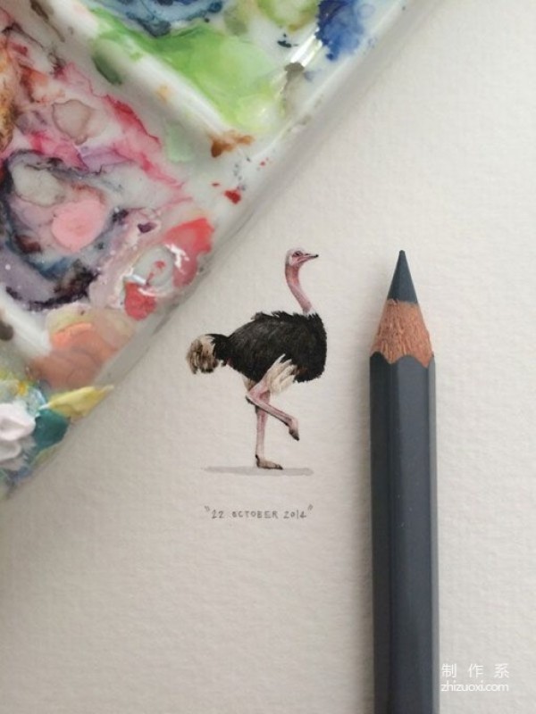 Some fresh, delicate and cute hand-painted illustrations of small animals