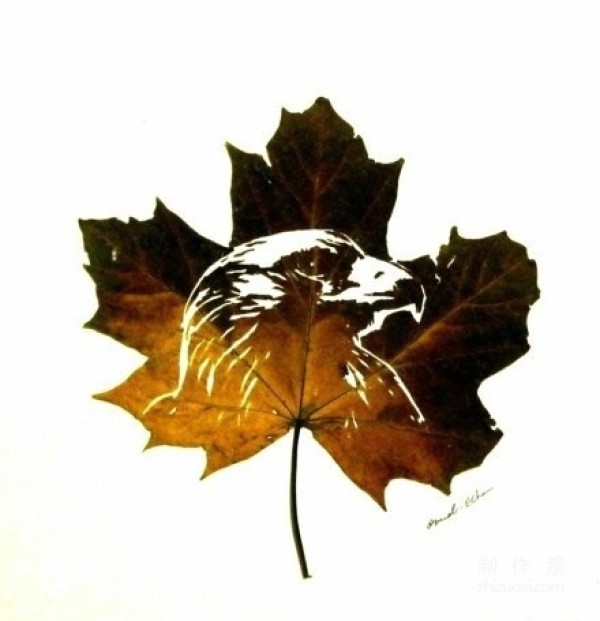 Use a knife and needle to carve fallen leaves, I was so beautiful by this creativity Crying