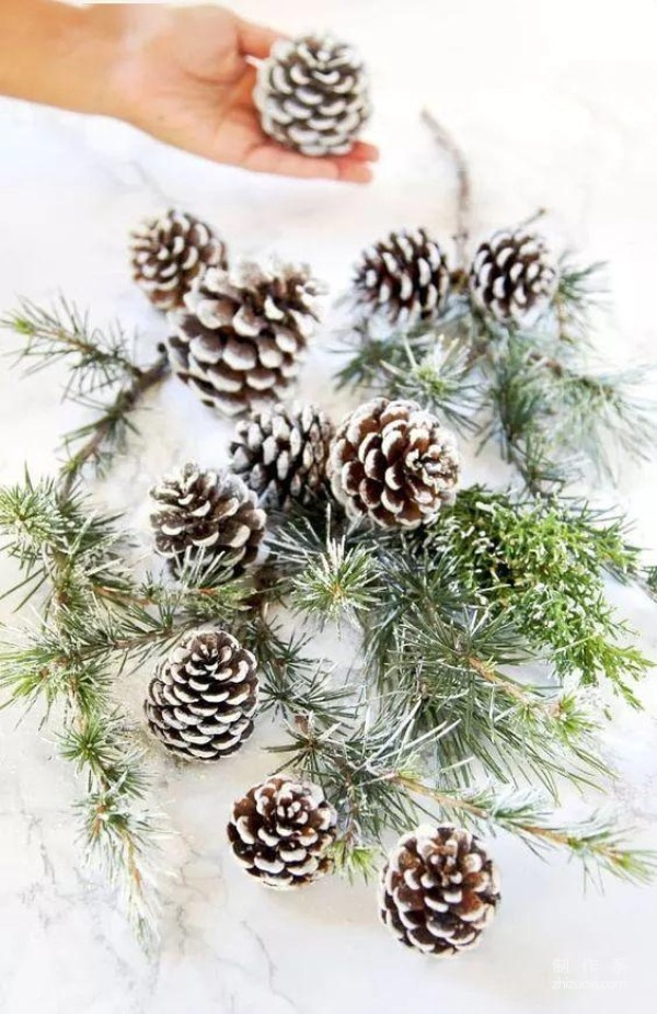 Don't kick away the pine cones that fall from the tree, they are all treasures when you pick them up!