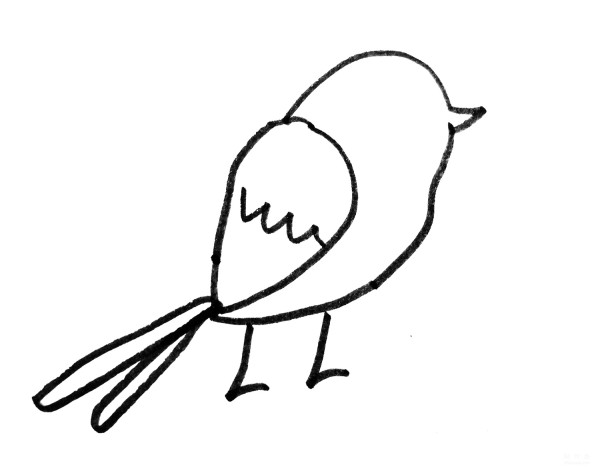 Learn to draw simple strokes, simple drawing methods of colorful birds