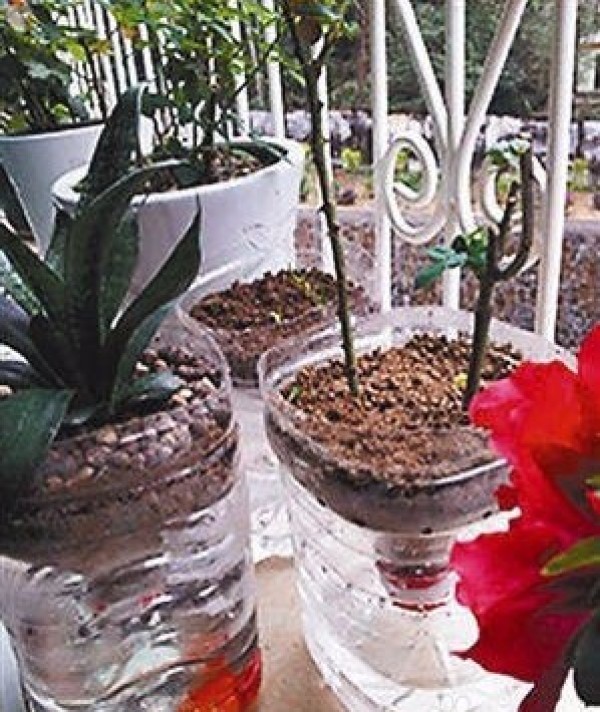 DIY flower pots from discarded plastic bottles DIY flower vases from plastic bottles