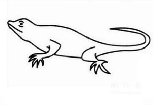 Learn to draw simple drawings, lizards