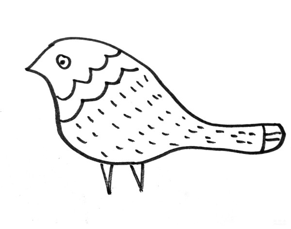 Learn to draw simple drawings, pointed bird