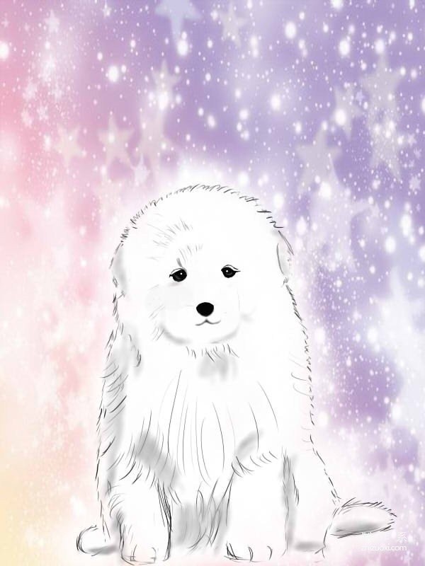 Draw cartoons for Bichon Frize dogs