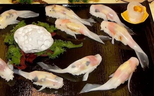 Lively koi sushi