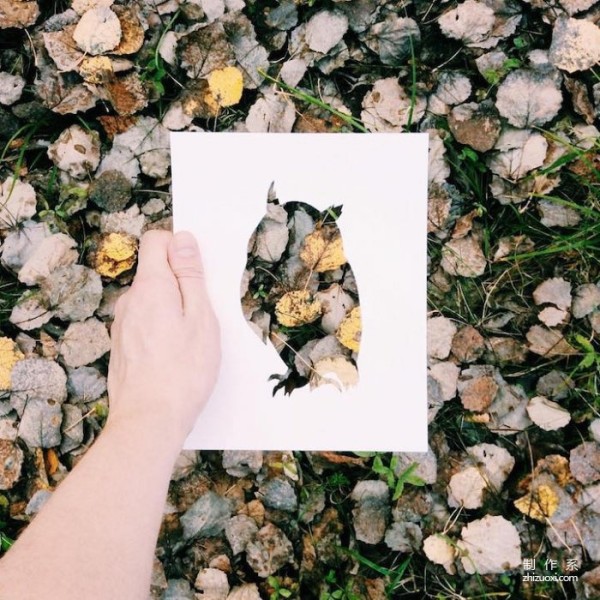 A simple silhouette captures the natural beauty of spring and autumn.