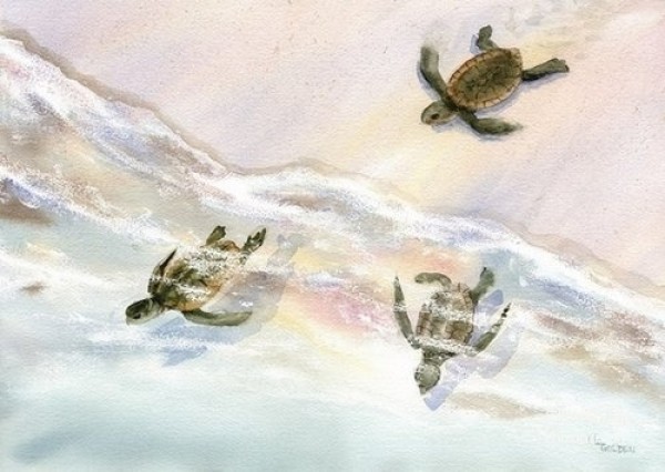 Watercolor illustration by Mary Ellen Golden