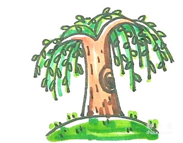 Learn to draw simple drawings, color simple drawings of willow trees