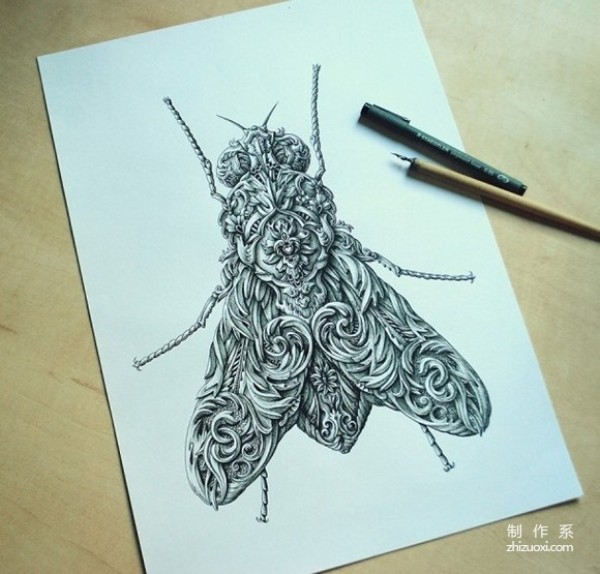 Super-detailed insect paintings